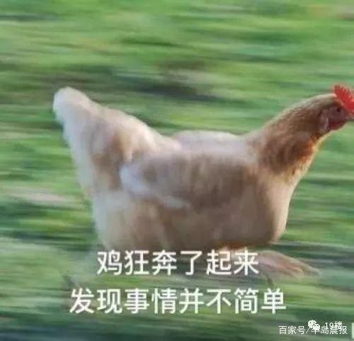 地鐵安檢不允許帶活雞，大媽接下來的行為，把地鐵的小姐姐嚇壞了